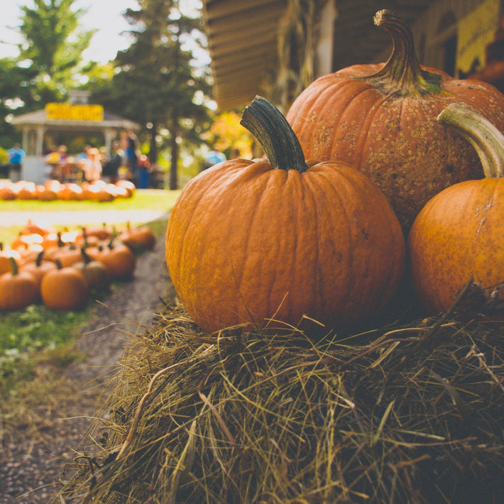 What is Pumpkin Seed Oil Good For?