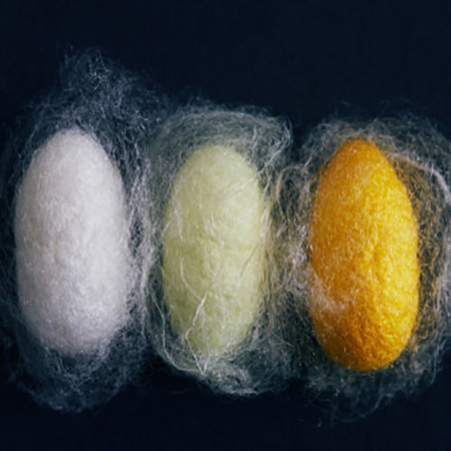 What are Silk Peptides?